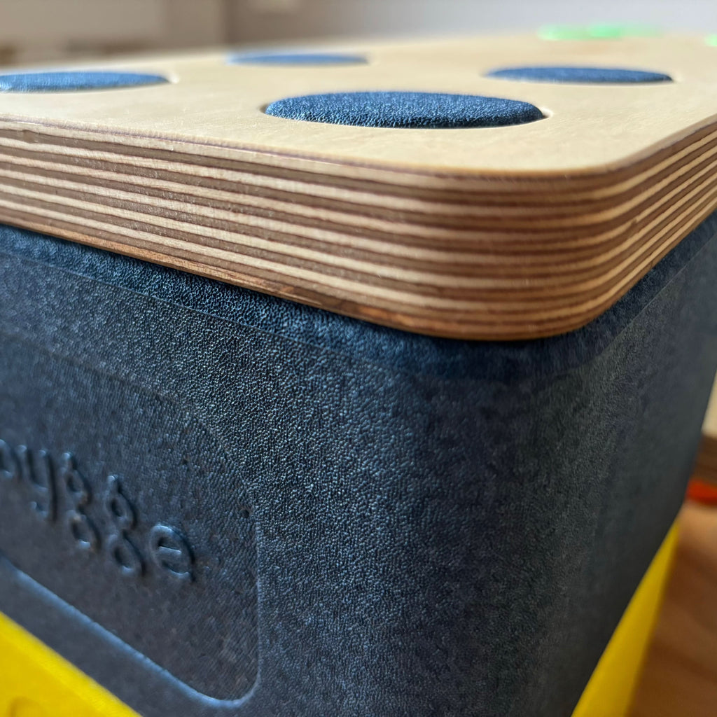 Balance Board "BAR"