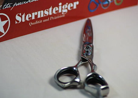 Sternsteiger Professional Sword Hairdressing Scissors 6.0 inch