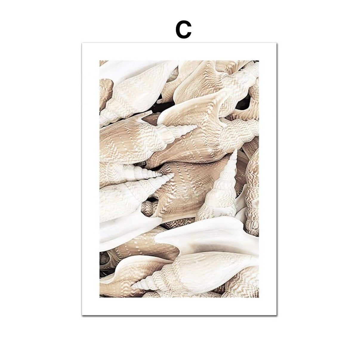 Poster Sunrise on the Beach Shells and Pampas Grass as Decoration Print without Frame