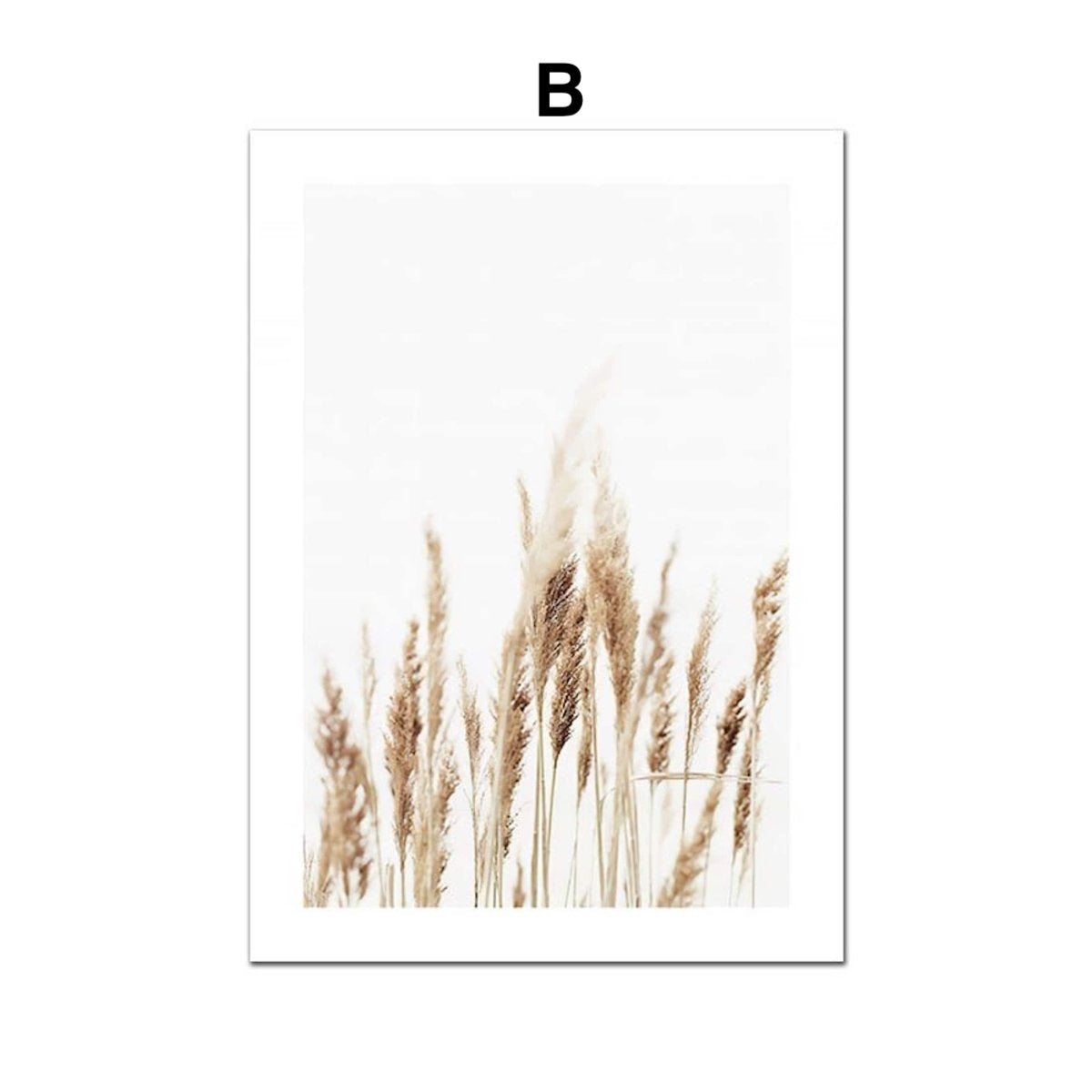 Poster Sunrise on the Beach Shells and Pampas Grass as Decoration Print without Frame