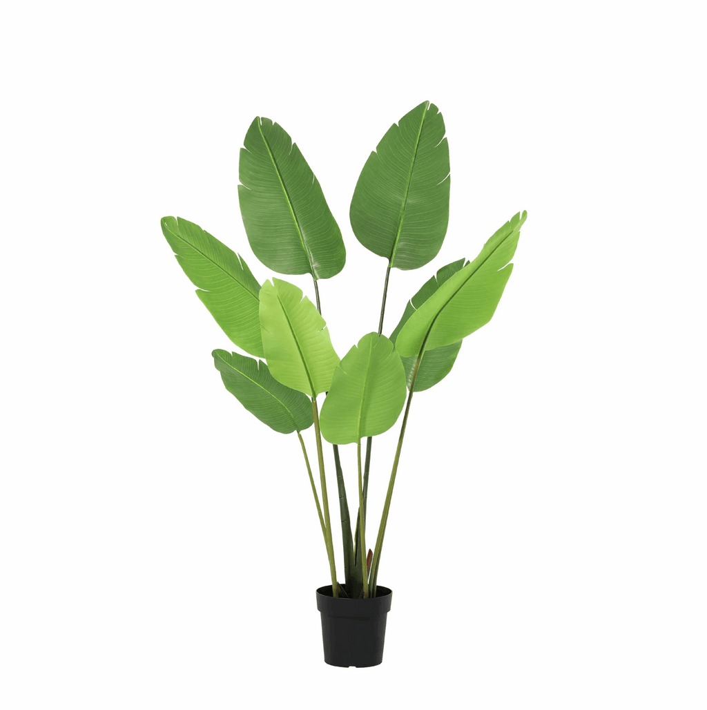Strelitzia Nicolai Artificial Plant 155cm – Bird of Paradise Decorative Plant – Maintenance-Free Houseplant for Living Room, Office & Reception Area