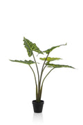 Artificial Alocasia Frydek Plant – 80cm – High-quality artificial indoor plant with realistic leaves – Evergreen & easy-care – Decorative plant for living room, office & interiors
