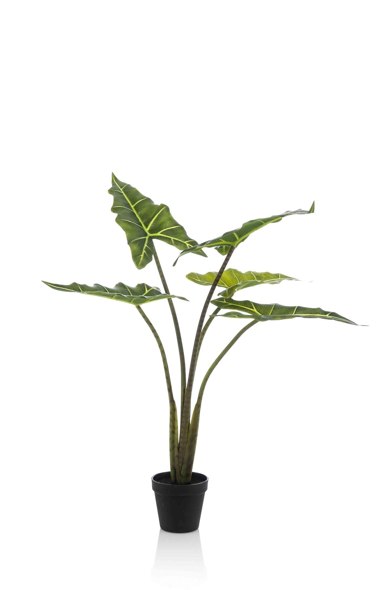 Artificial Alocasia Frydek Plant – 80cm – High-quality artificial indoor plant with realistic leaves – Evergreen & easy-care – Decorative plant for living room, office & interiors