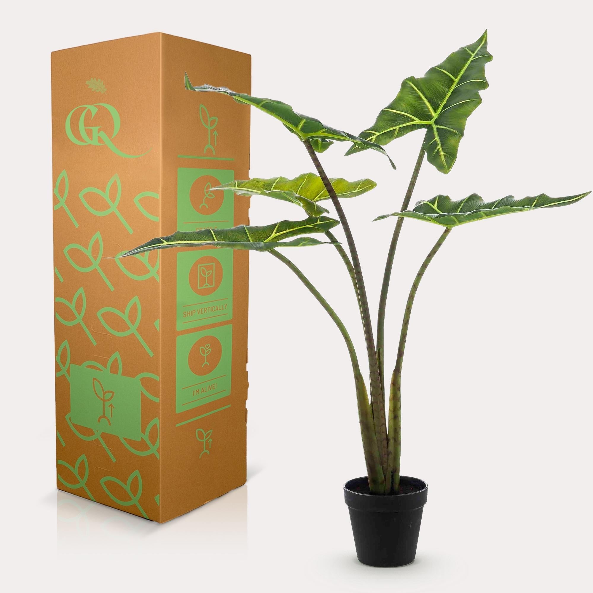 Artificial Alocasia Frydek Plant – 80cm – High-quality artificial indoor plant with realistic leaves – Evergreen & easy-care – Decorative plant for living room, office & interiors