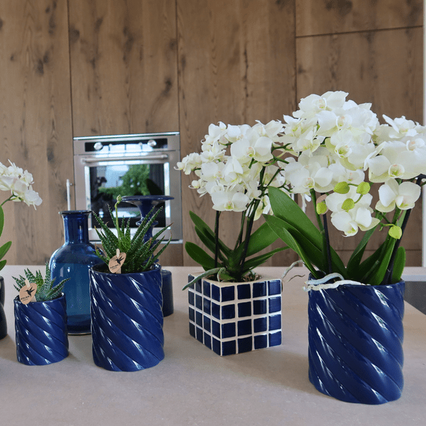 Candy Decorative Pot – Tall – Blue – Ø6cm – Modern Ceramic Planter in Pastel Blue – Stylish Flower Pot for Mini Orchids & Houseplants – Decorative Plant Pot
