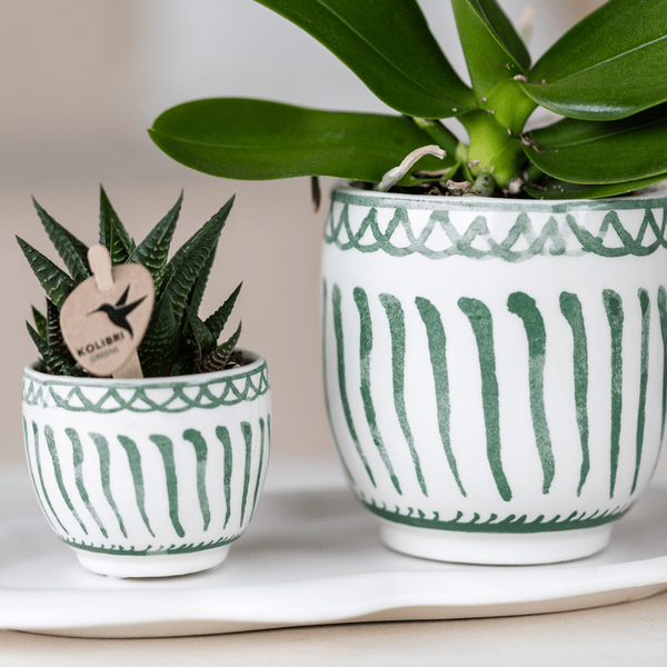 Granada Pot – Green – Ø6cm – Decorative Ceramic Flower Pot in Mediterranean Style – Glazed Planter for Indoor Plants – High-Quality Mini Cover Pot