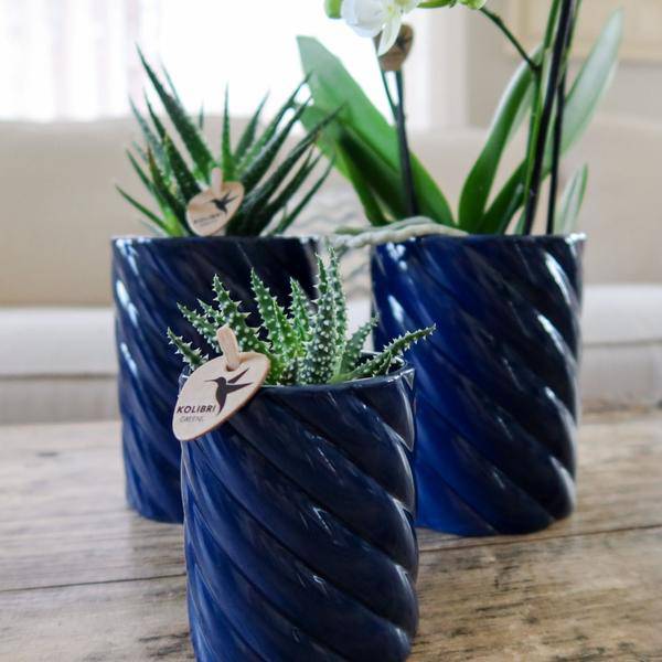 Candy Decorative Pot – Tall – Blue – Ø6cm – Modern Ceramic Planter in Pastel Blue – Stylish Flower Pot for Mini Orchids & Houseplants – Decorative Plant Pot